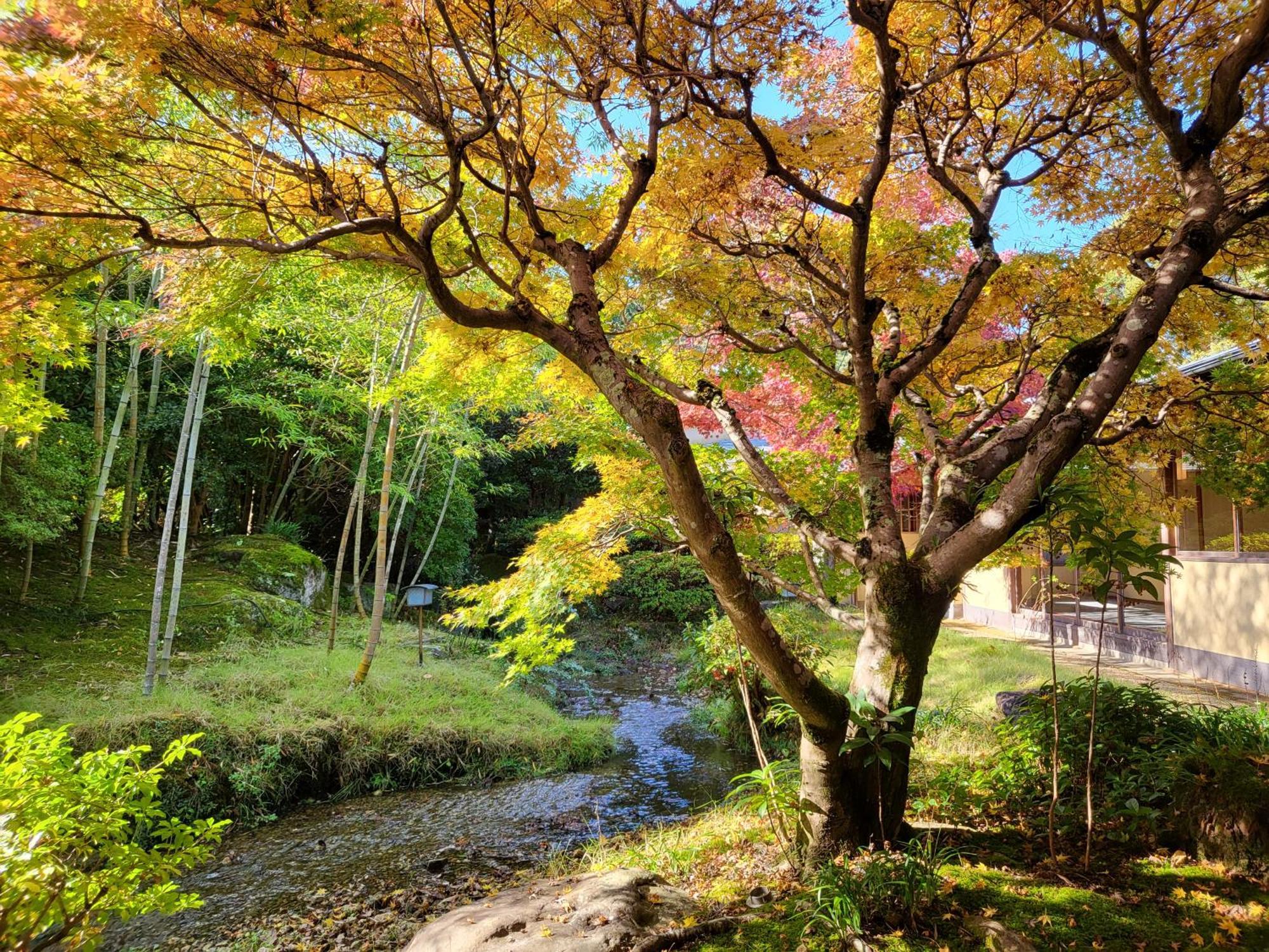 Sanyo-So Hotel Izunokuni Exterior photo